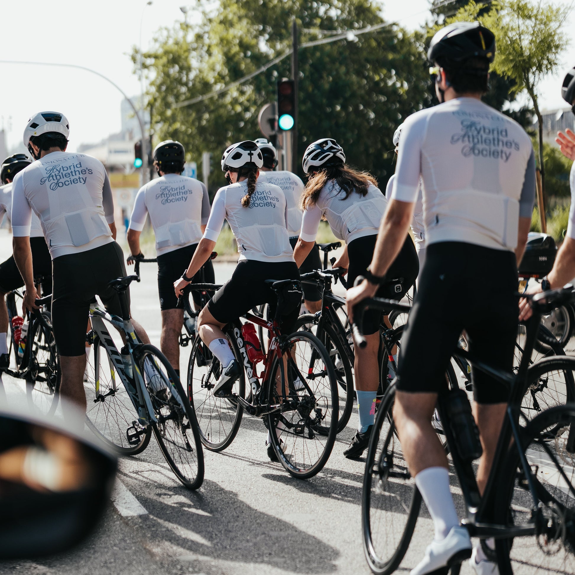 MAGLIA FOURIER X POMONA